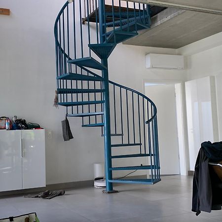 A Cozy Room In A Modern House 波茨坦 外观 照片